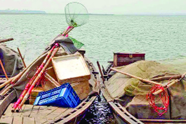 বিদ্যুৎ শক দিয়ে মাছ নিধন