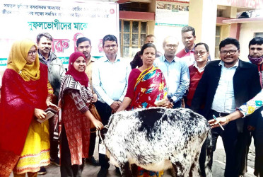 চিরিরবন্দরে ক্ষুদ্র নৃ-গোষ্ঠীর মাঝে বকনা গরু বিতরণ