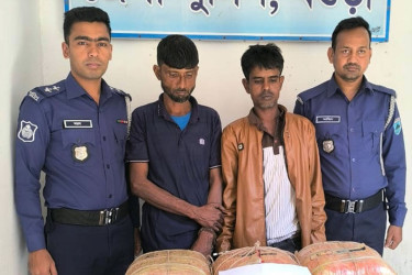 বগুড়ায় গাঁজাসহ দুই মাদক কারবারি গ্রেফতার