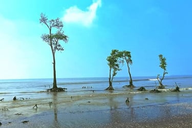অপরূপ সৌন্দর্যের লীলাভূমি কুয়াকাটা, ভ্রমণ গাইড