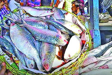 ইলিশের দামে আগুন