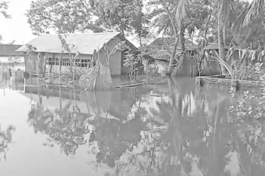 দুর্ভোগ কাটেনি পানিবন্দি মানুষের