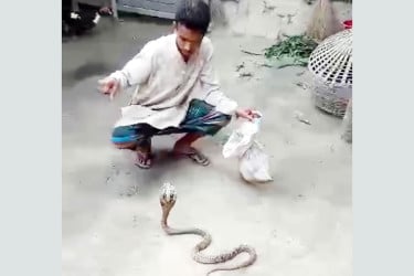 পোষা সাপের কামড়ে যুবকের মৃত্যু