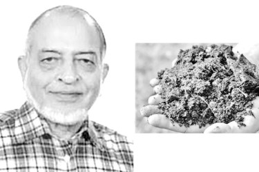 জঞ্জাল থেকে সার