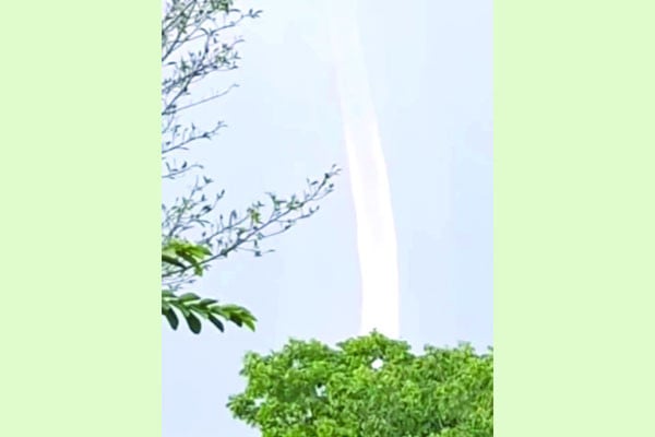 পদ্মায় বিরল দৃশ্য, আতঙ্ক কৌতূহল