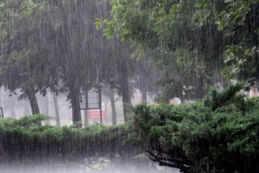 পাঁচ দিন টানা বৃষ্টির সম্ভাবনা যেসব অঞ্চলে