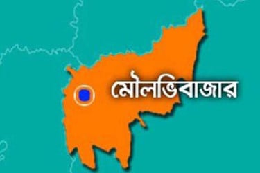 মশার কয়েল থেকে অগ্নিকাণ্ড, পুড়ে অঙ্গার কৃষকের ৪ গরু