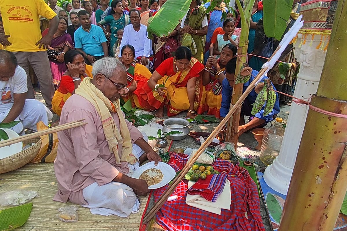 বট পাকুড়ের বিয়ে হলো মহাধুমধামে