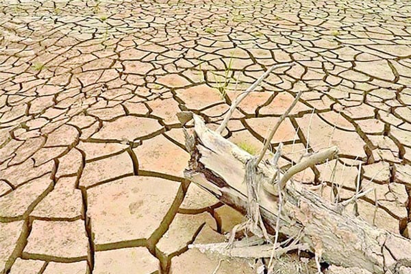 ফারাক্কার কারণে ১২ জেলায় পরিবেশ বিপর্যয়