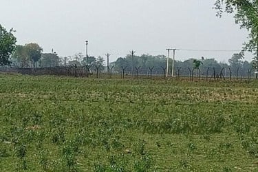 সীমান্তে ছবি তুলতে যাওয়া মামা-ভাগিনাকে ধরে নিয়ে গেছে বিএসএফ