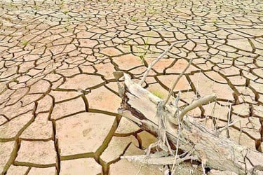 ফারাক্কার কারণে ১২ জেলায় পরিবেশ বিপর্যয়