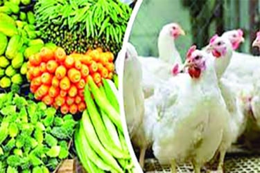সবজিতে অস্বস্তি মুরগিও চড়া