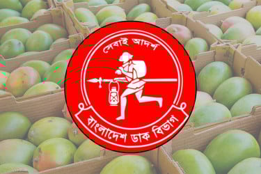 চাঁপাইনবাবগঞ্জের আম দেশের ২৫ জেলায় পৌঁছে দিবে ডাক বিভাগ