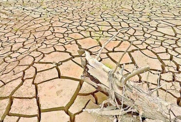 ফারাক্কার কারণে ১২ জেলায় পরিবেশ বিপর্যয়