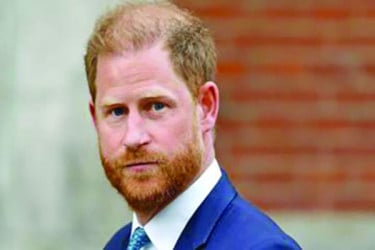 রাজপরিবারে ফিরতে চান প্রিন্স হ্যারি