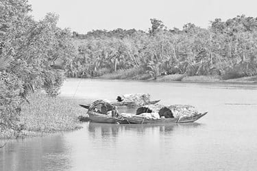 সুন্দরবনে নানা সমস্যায় বনজীবীরা