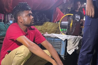 ফেনীতে শিয়ালের মাংস বিক্রি, ৬ মাসের কারাদণ্ড