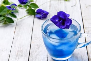 সৌদির জাজনে জনপ্রিয় হচ্ছে নীল চা চাষ