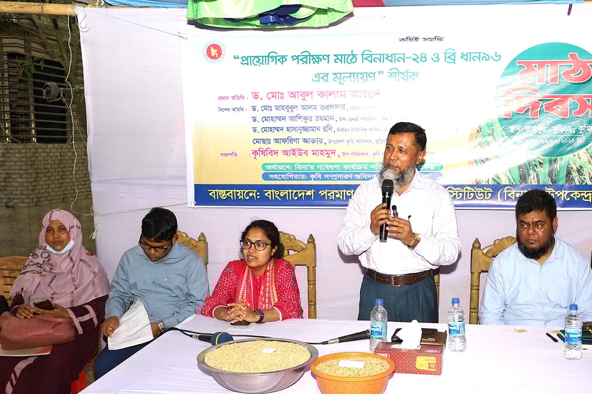 বিনাধান-২৪: বেশি ফলন ও বীজ সংরক্ষণ সুবিধায় ঝুঁকছেন কৃষক