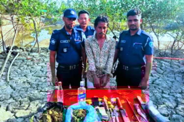 পেকুয়ায় যৌথ বাহিনীর অভিযানে গাঁজাসহ আটক ১