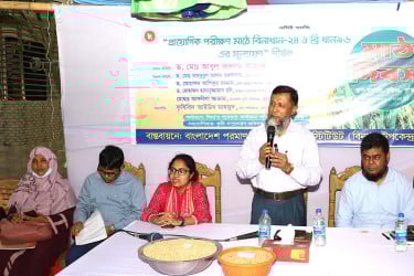 বিনাধান-২৪: বেশি ফলন ও বীজ সংরক্ষণ সুবিধায় ঝুঁকছেন কৃষক