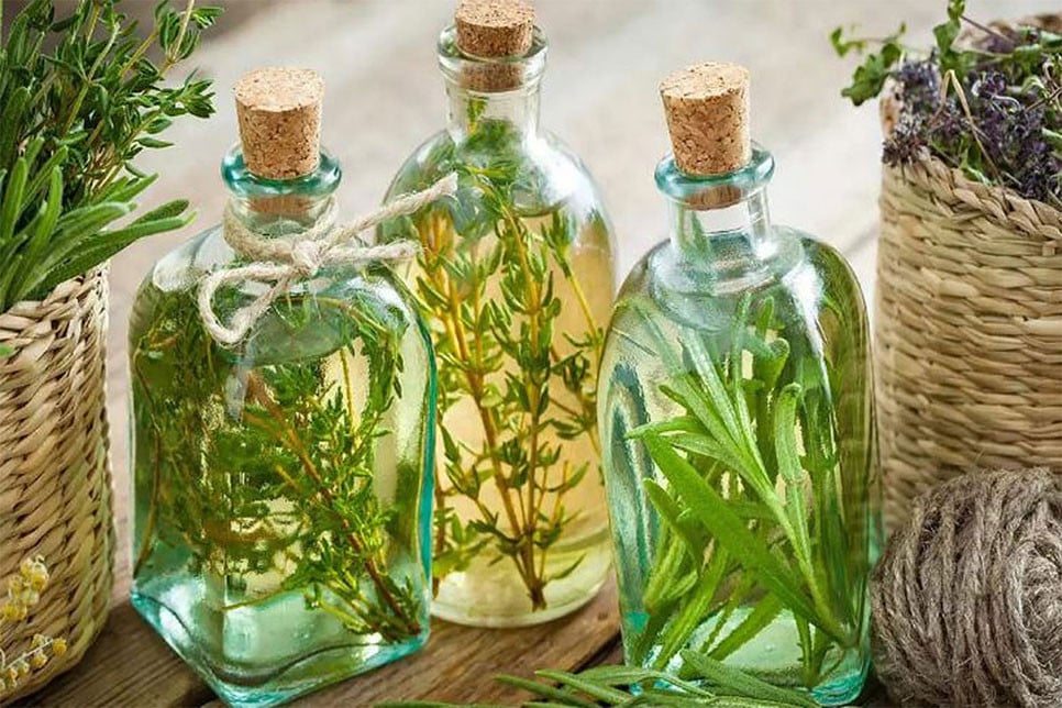 রূপচর্চায় কোন তেলের কী কাজ