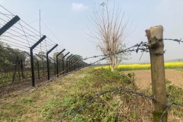 গরু চোরাচালান রোধে সাতক্ষীরা সীমান্তে বিজিবির কঠোর নজরদারি