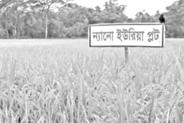 ন্যানো ইউরিয়ায় খুশি কৃষক