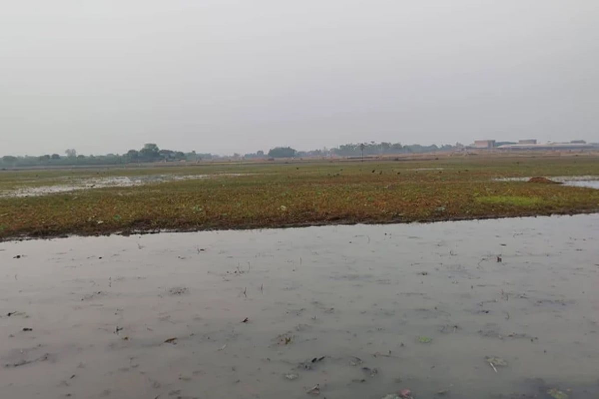 দেশে প্রথমবারের মতো দুইটি ‘জলাভূমি নির্ভর প্রাণী অভয়ারণ্য’ ঘোষণা