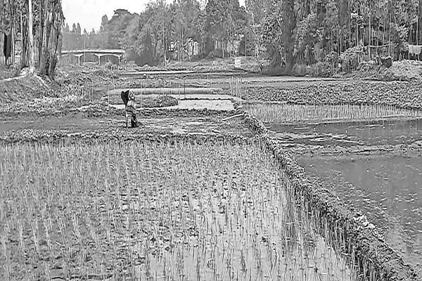 ইছামতী এখন কৃষকের কান্না