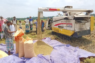 কুমিল্লায় যান্ত্রিক প্রক্রিয়ায় ধান চাষে বেড়েছে ফলন, কমেছে পরিশ্রম