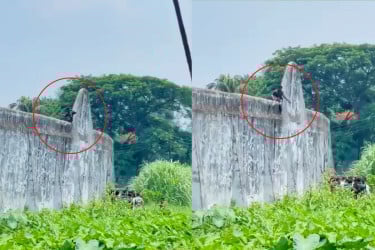 কারাগারের দেয়াল টপকে হাজতির পালানোর চেষ্টা, ভিডিও ভাইরাল