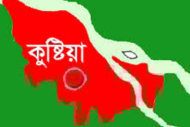 কুষ্টিয়ায় নারী চিকিৎসককে মারধরের ঘটনায় মামলা