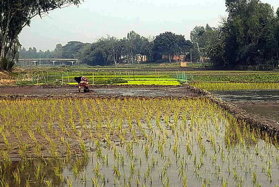 ইছামতী এখন কৃষকের কান্না