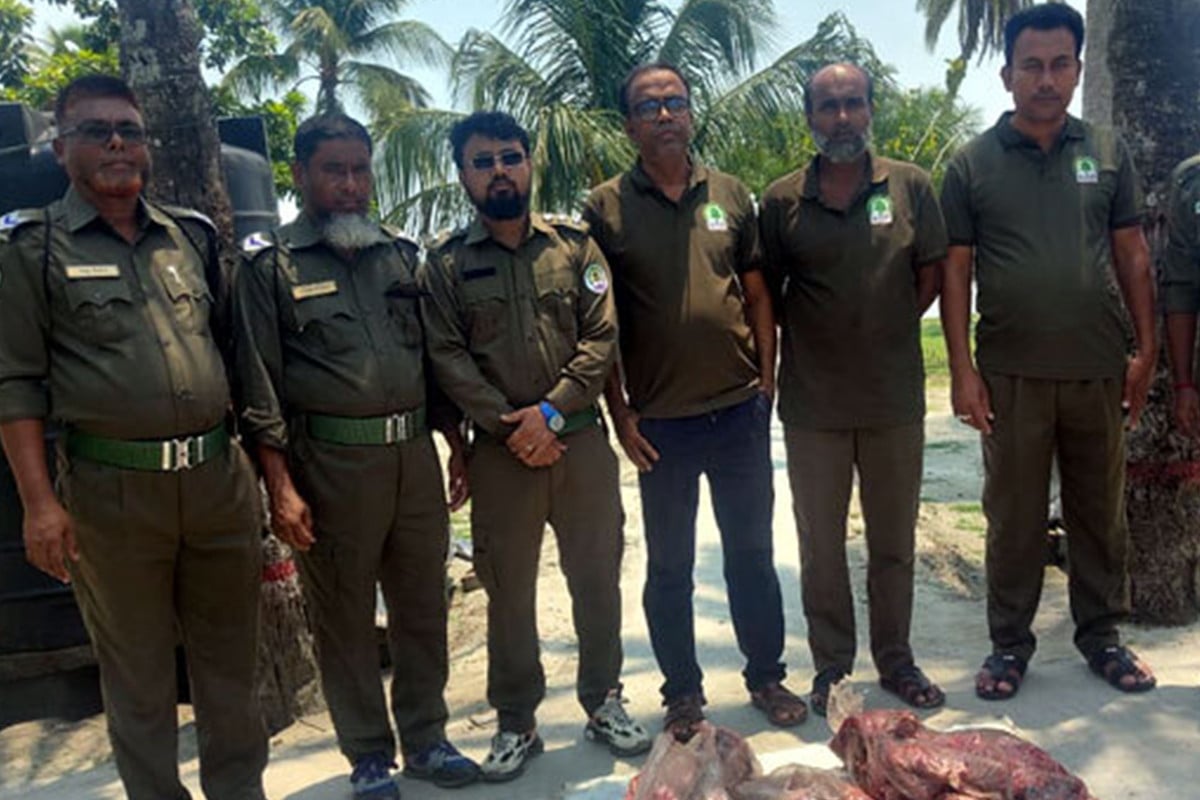 সুন্দরবন থেকে ৪২ কেজি হরিণের মাংস জব্দ