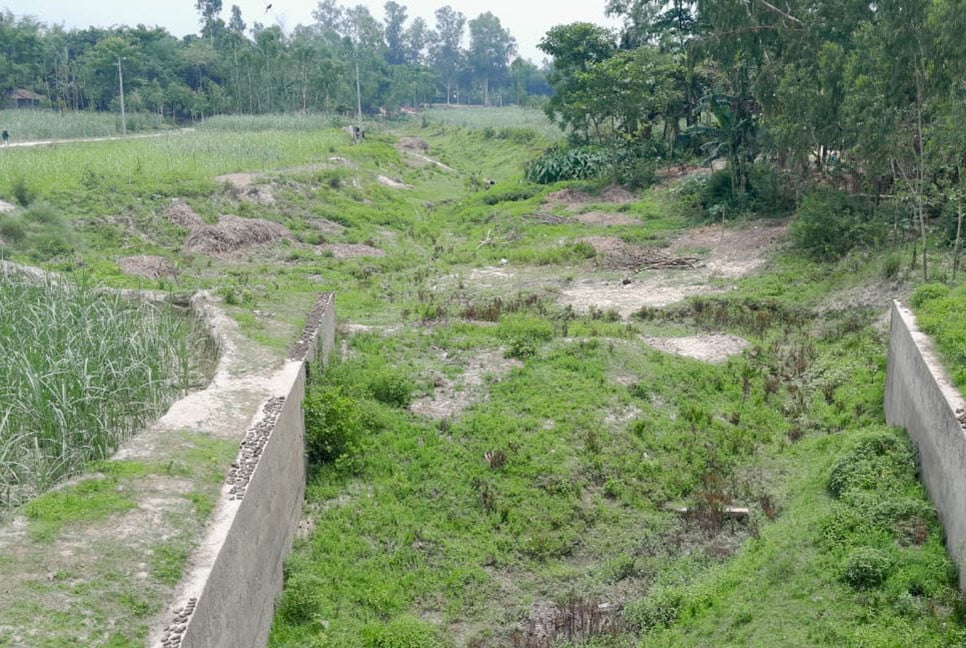 উজানে পলি পড়ে ভরাট হয়ে মরছে করতোয়া নদী