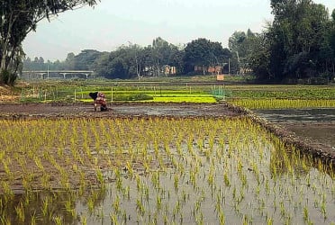 ইছামতী এখন কৃষকের কান্না