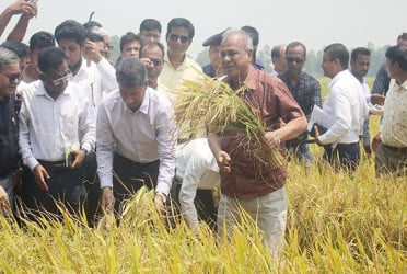আমাদের সীমান্ত সম্পূর্ণ নিরাপদ, ভয়ের কোন কারণ নেই : স্বরাষ্ট্র উপদেষ্টা