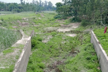 উজানে পলি পড়ে ভরাট হয়ে মরছে করতোয়া নদী