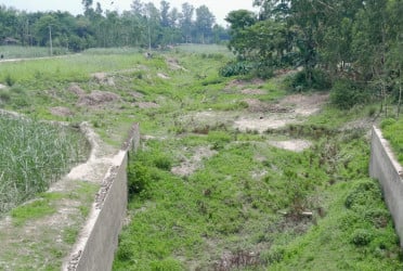 উজানে পলি পড়ে ভরাট হয়ে মরছে করতোয়া নদী