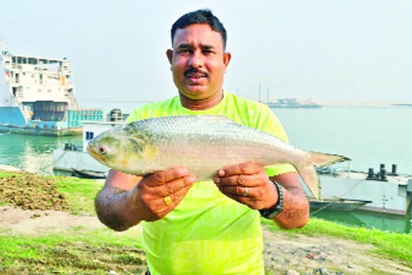 এক ইলিশের দাম সাড়ে ৮ হাজার