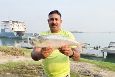 এক ইলিশের দাম সাড়ে ৮ হাজার টাকা