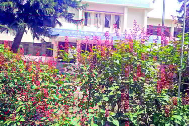 হাসপাতাল প্রাঙ্গণে ফুলের বাগান