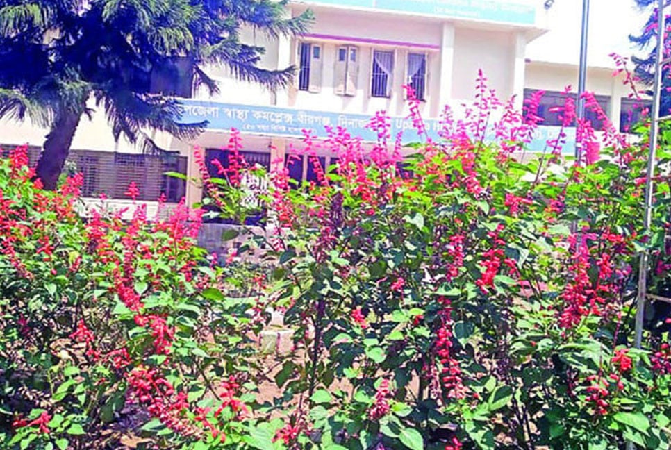 হাসপাতাল প্রাঙ্গণে ফুলের বাগান