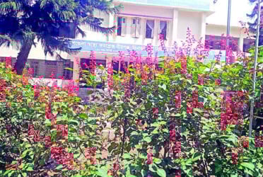 হাসপাতাল প্রাঙ্গণে ফুলের বাগান