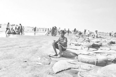 জিওব্যাগে সৌন্দর্য দূষণ