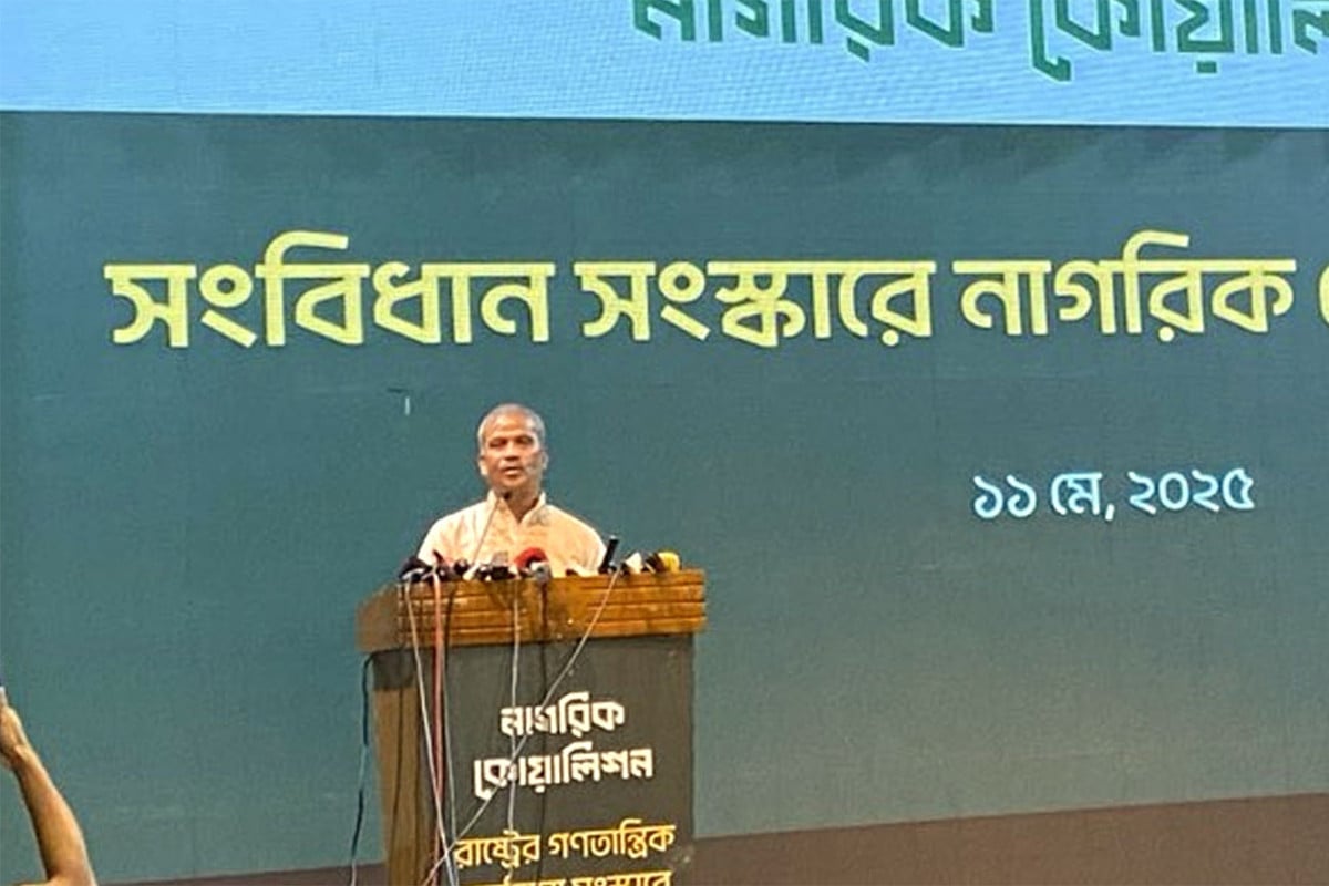 নতুন সংবিধান প্রণয়ন করতে অনেক সময় লাগবে : আসিফ নজরুল