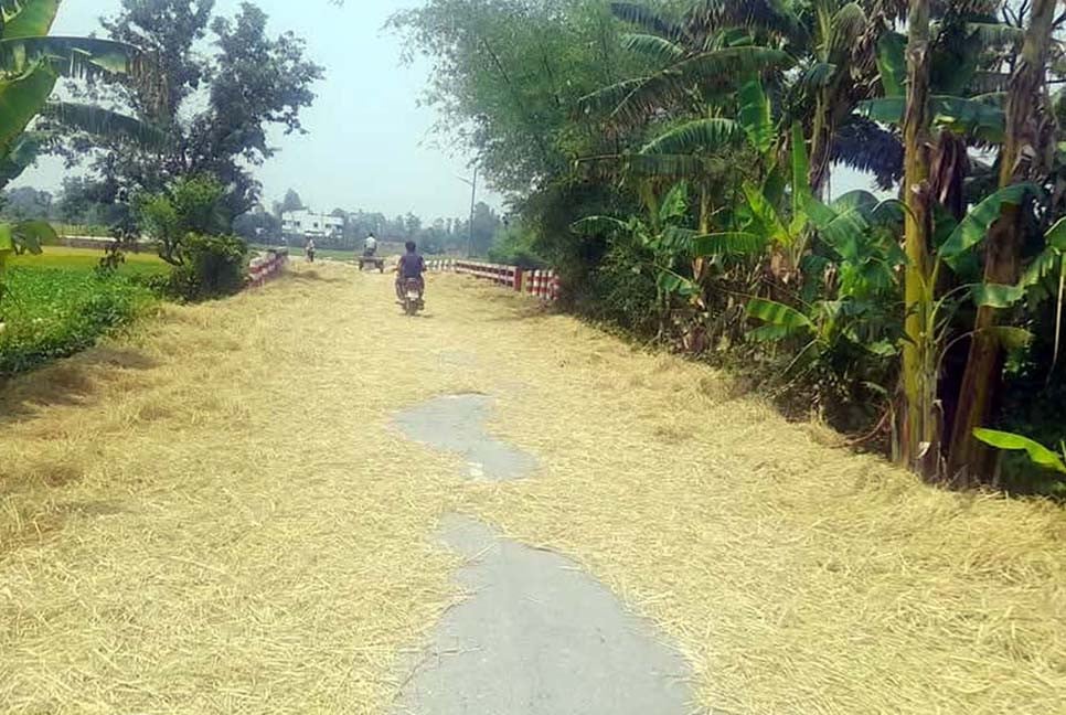 রাস্তা যেন ধান-খড় শুকানোর চাতাল!