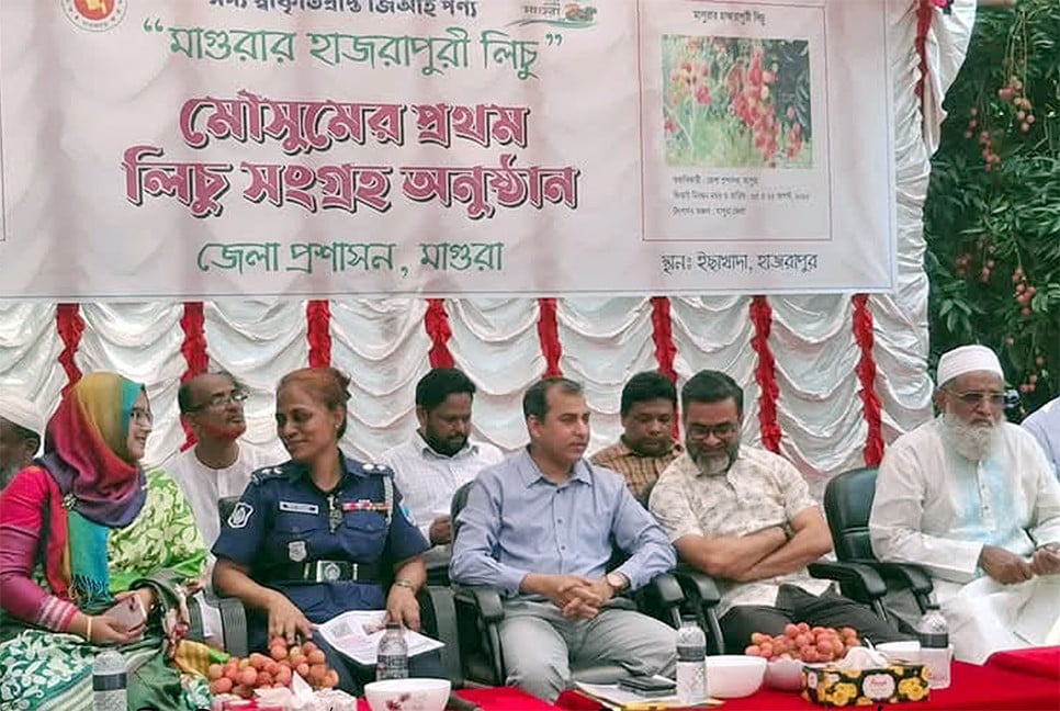 মাগুরায় জিআই স্বীকৃতি পাওয়া হাজরাপুরী লিচু মেলা