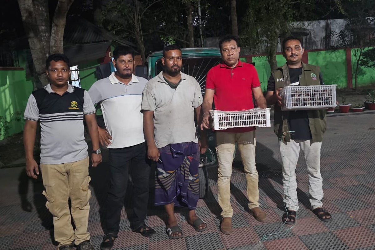 কুষ্টিয়ায় ৪০টি শালিক পাখি উদ্ধার